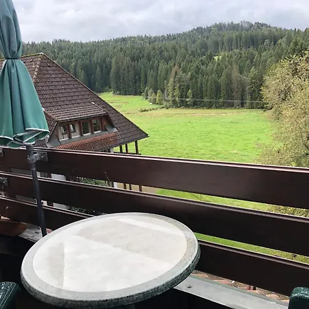 Ferienwohnung Hochschwarzwald Hinterzarten Extérieur photo