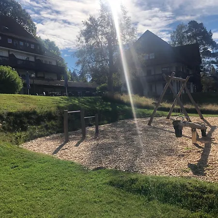 Ferienwohnung Hochschwarzwald Hinterzarten Extérieur photo